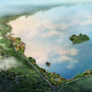 湖西路绿化景观提升改造