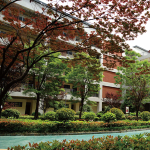 徐州市新城区新元大道初级中学绿化景观工程